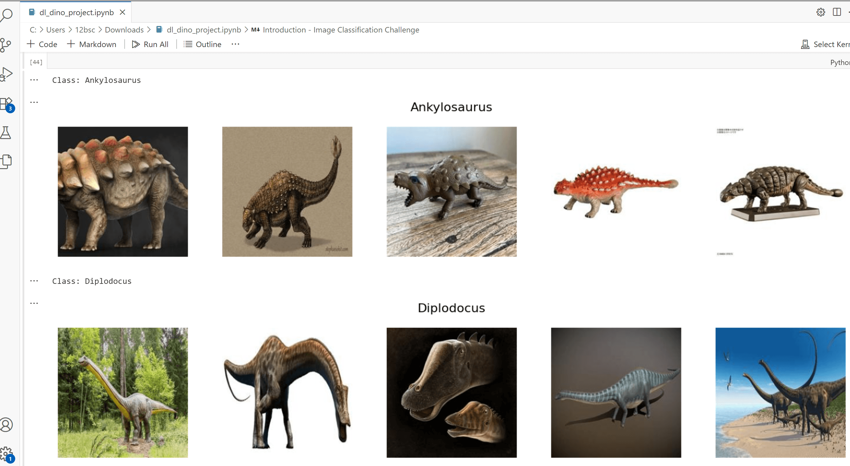 Dino Classification Challenge screenshot 3